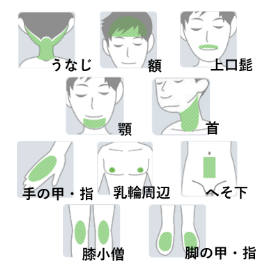 Sパーツ